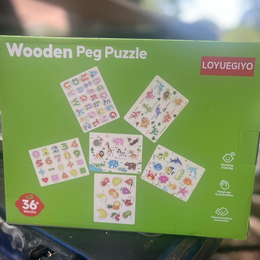 Wooden Peg Puzzle Set - Multicolor